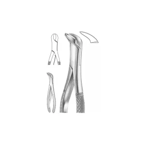 EXTRACTION FOCEPS “AMERICAN PATTERN