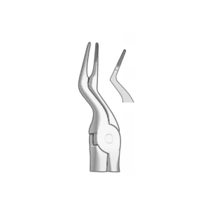 EXTRACTION FOCEPS WITH ANATOMICAL GRIP