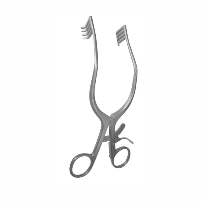 180.webp